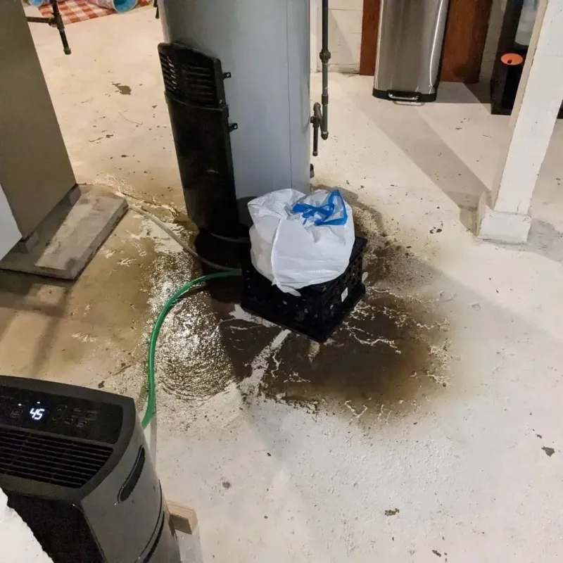 Sewage Backup Cleanup Service in Oneonta, AL